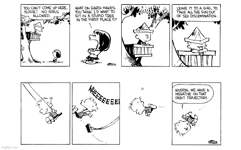 “Treehouse Terror” & “Houston, We Have a Problem” | image tagged in calvin and hobbes,comics,twofer,tree house,swing | made w/ Imgflip meme maker