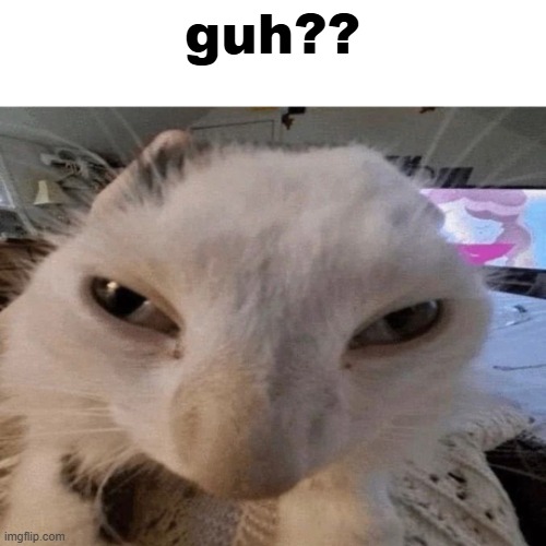 guh?? | image tagged in distorted guh cat | made w/ Imgflip meme maker