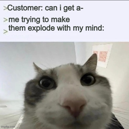 Cat looks inside | Customer: can i get a-; me trying to make them explode with my mind: | image tagged in cat looks inside | made w/ Imgflip meme maker