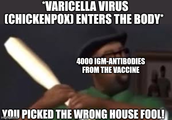 You picked the wrong house fool | *VARICELLA VIRUS (CHICKENPOX) ENTERS THE BODY*; 4000 IGM-ANTIBODIES FROM THE VACCINE; YOU PICKED THE WRONG HOUSE FOOL! | image tagged in you picked the wrong house fool | made w/ Imgflip meme maker