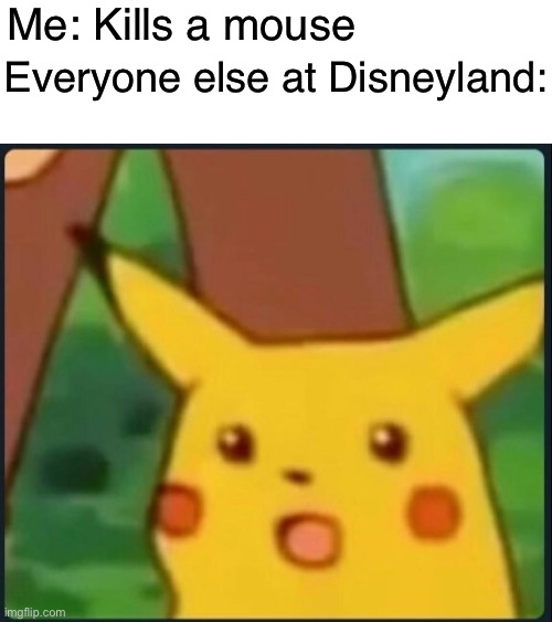 Surprised Pikachu | Me: Kills a mouse; Everyone else at Disneyland: | image tagged in surprised pikachu,disney,death,dark humor,disneyland,mickey mouse | made w/ Imgflip meme maker