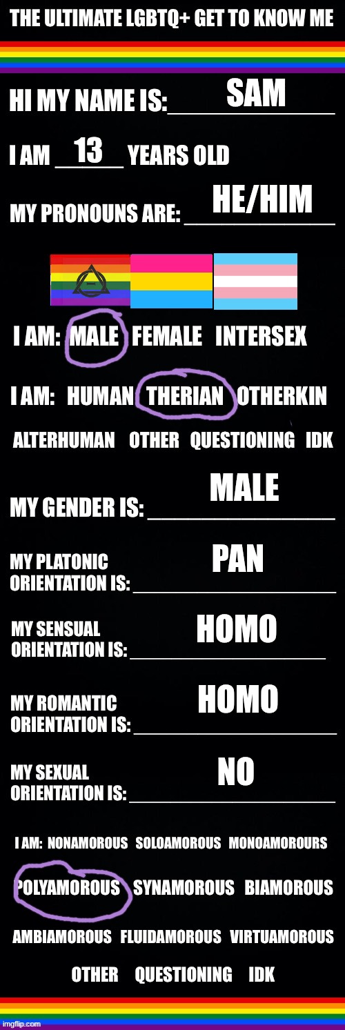 The ultimate LGBTQ+ get to know me | SAM; 13; HE/HIM; MALE; PAN; HOMO; HOMO; NO | image tagged in the ultimate lgbtq get to know me | made w/ Imgflip meme maker