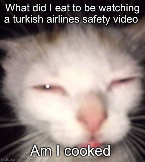 Bro I just clicked on it instead of watching a markiplier video | What did I eat to be watching a turkish airlines safety video; Am I cooked | image tagged in tired cat | made w/ Imgflip meme maker