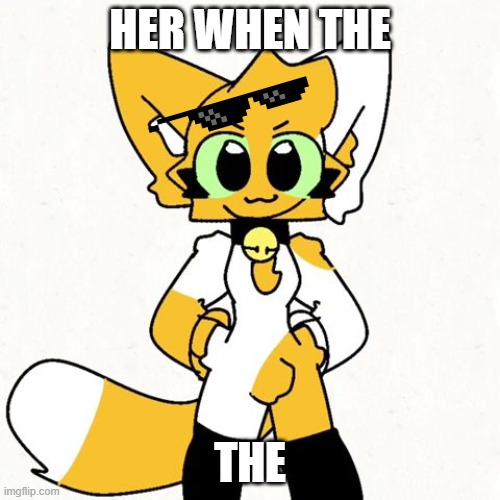 When the | HER WHEN THE; THE | image tagged in mika_kit,when the | made w/ Imgflip meme maker