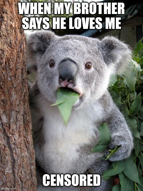 Surprised Koala | WHEN MY BROTHER SAYS HE LOVES ME; CENSORED | image tagged in memes,surprised koala | made w/ Imgflip meme maker