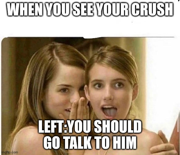 Girl whisper | WHEN YOU SEE YOUR CRUSH; LEFT:YOU SHOULD GO TALK TO HIM | image tagged in girl whisper | made w/ Imgflip meme maker