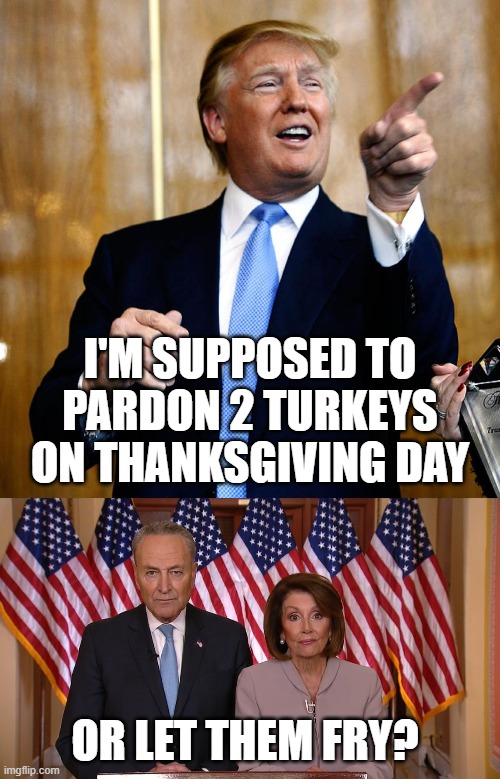 I'M SUPPOSED TO PARDON 2 TURKEYS ON THANKSGIVING DAY; OR LET THEM FRY? | image tagged in donal trump birthday,chuck and nancy | made w/ Imgflip meme maker