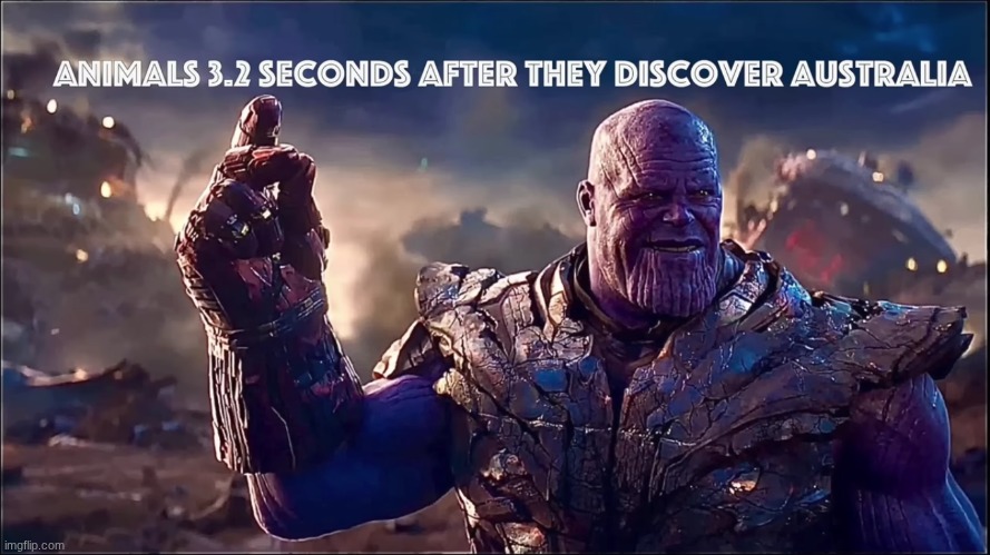 image tagged in australia,meanwhile in australia,animals,they turn into menaces,animals when they got introduced to australis | made w/ Imgflip meme maker