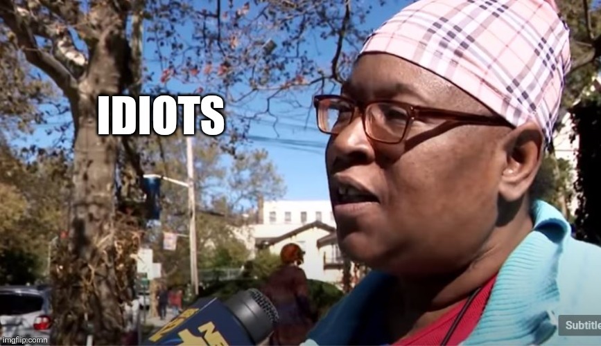 image tagged in idiots | made w/ Imgflip meme maker