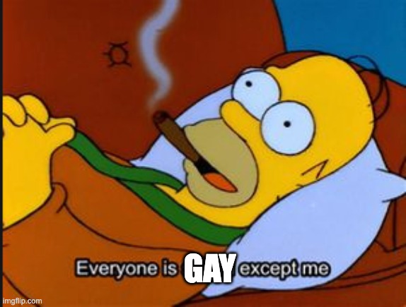 homer simpson: everyone's gay except me