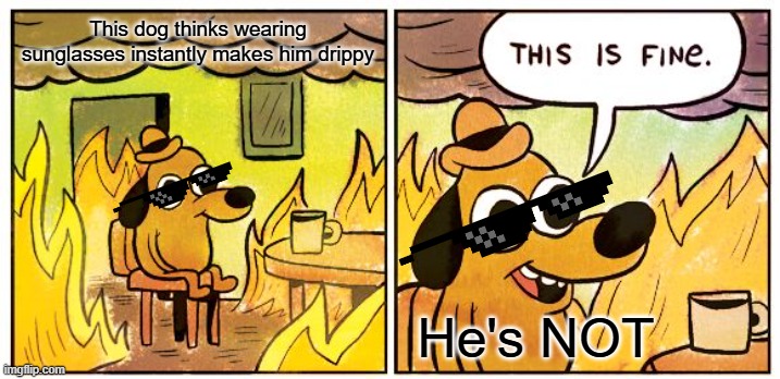 Drip pt. 36 | This dog thinks wearing sunglasses instantly makes him drippy; He's NOT | image tagged in memes,this is fine,funny,fun,drip,stop reading the tags | made w/ Imgflip meme maker