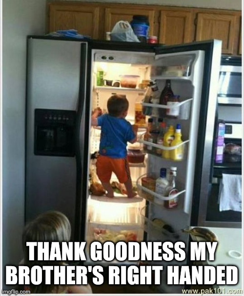 baby getting food from fridge | THANK GOODNESS MY BROTHER'S RIGHT HANDED | image tagged in baby getting food from fridge | made w/ Imgflip meme maker
