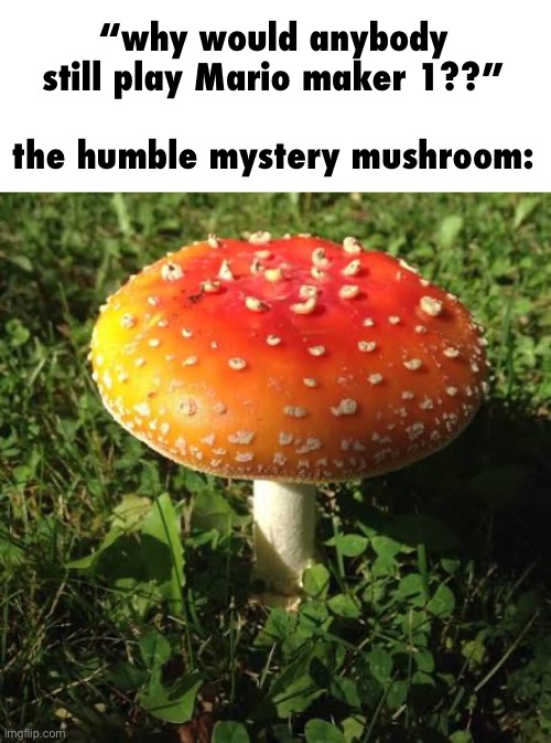 “why would anybody still play Mario maker 1??”
 
the humble mystery mushroom: | made w/ Imgflip meme maker