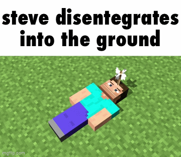 MINECRAFT IN A NUTSHELL GOT A SEQUEL - Imgflip