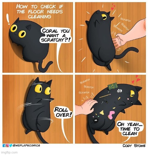 WeFlaps | image tagged in cats,comics,weflaps,coral,roll over,dirty floor | made w/ Imgflip meme maker