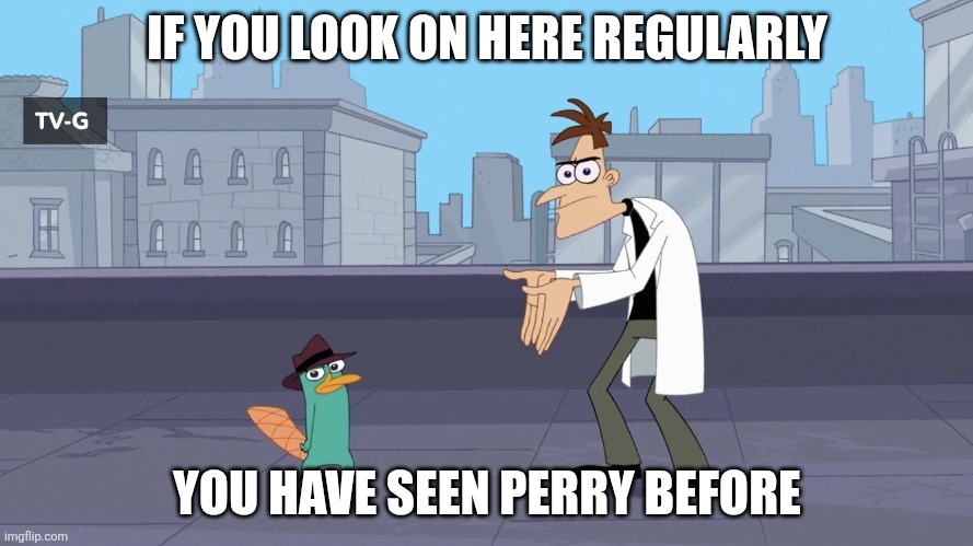 DOES ANYONE ELSE SEE THIS TEMPLATE BEING USED AS A RANDOM POP-UP MEME | IF YOU LOOK ON HERE REGULARLY; YOU HAVE SEEN PERRY BEFORE | image tagged in perry destroyed the door | made w/ Imgflip meme maker