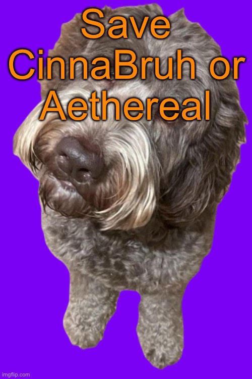 Northers Dog (Transparent) | Save CinnaBruh or Aethereal | image tagged in northers dog transparent,voting game s13 | made w/ Imgflip meme maker