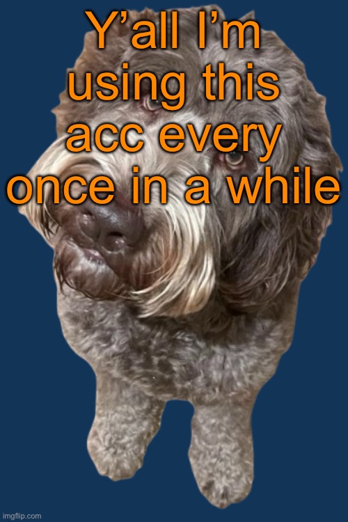 Northers Dog (Transparent) | Y’all I’m using this acc every once in a while | image tagged in northers dog transparent | made w/ Imgflip meme maker