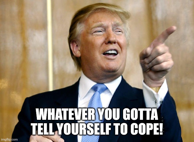 Donald Trump Pointing | WHATEVER YOU GOTTA TELL YOURSELF TO COPE! | image tagged in donald trump pointing | made w/ Imgflip meme maker