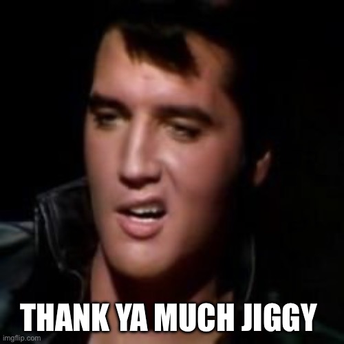 THANK YA MUCH JIGGY | image tagged in elvis thank you | made w/ Imgflip meme maker