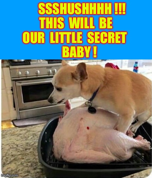 But . . . Where In The Heck Is His Little Chef Hat ???  LOL.  : ) | SSSHUSHHHH !!!
THIS  WILL  BE
OUR  LITTLE  SECRET 
   BABY ! | image tagged in turkey | made w/ Imgflip meme maker