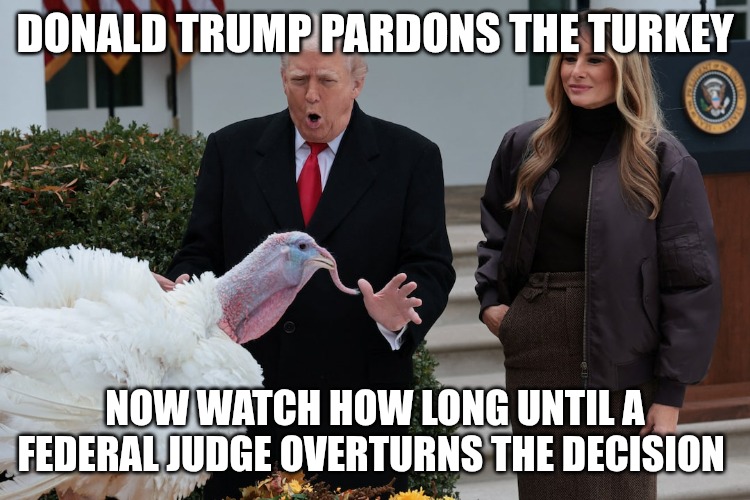Taking bets on how long. A day? A week? | DONALD TRUMP PARDONS THE TURKEY; NOW WATCH HOW LONG UNTIL A FEDERAL JUDGE OVERTURNS THE DECISION | image tagged in thanksgiving,donald trump,pardon,democrats | made w/ Imgflip meme maker