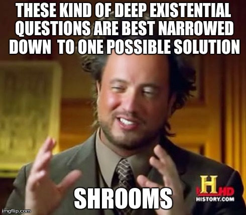 Ancient Aliens Meme | THESE KIND OF DEEP EXISTENTIAL QUESTIONS ARE BEST NARROWED DOWN  TO ONE POSSIBLE SOLUTION SHROOMS | image tagged in memes,ancient aliens | made w/ Imgflip meme maker