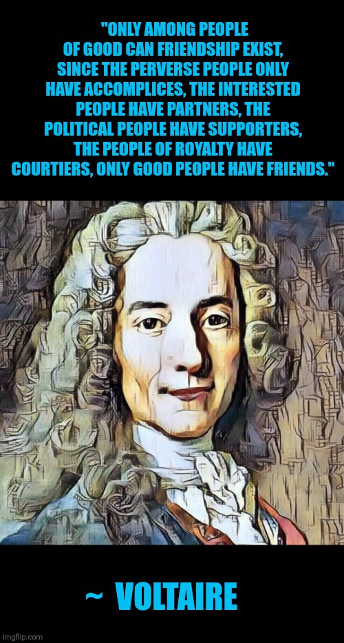 People of good, friends | "ONLY AMONG PEOPLE OF GOOD CAN FRIENDSHIP EXIST, SINCE THE PERVERSE PEOPLE ONLY HAVE ACCOMPLICES, THE INTERESTED PEOPLE HAVE PARTNERS, THE POLITICAL PEOPLE HAVE SUPPORTERS, THE PEOPLE OF ROYALTY HAVE COURTIERS, ONLY GOOD PEOPLE HAVE FRIENDS."; ~  VOLTAIRE | image tagged in voltaire,friendship | made w/ Imgflip meme maker
