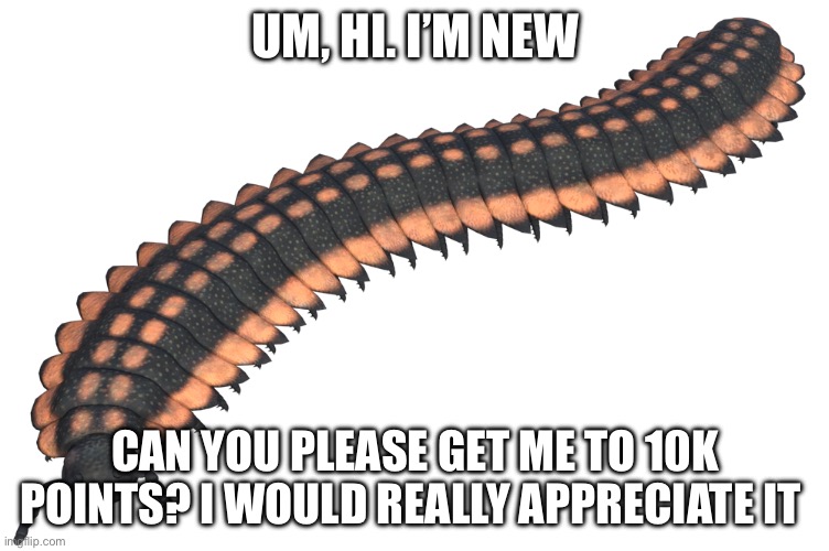 centipede | UM, HI. I’M NEW; CAN YOU PLEASE GET ME TO 10K POINTS? I WOULD REALLY APPRECIATE IT | image tagged in centipede | made w/ Imgflip meme maker
