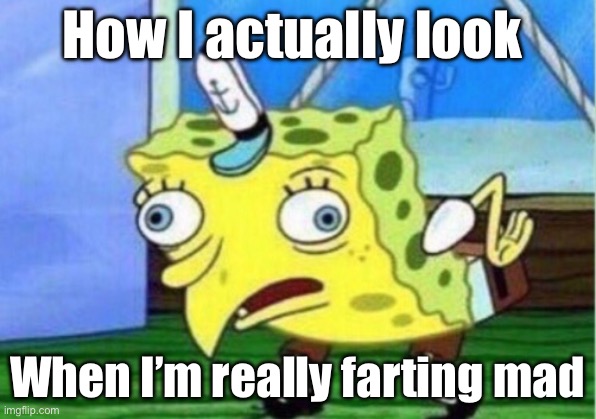 Plees take me seroiusly | How I actually look; When I’m really farting mad | image tagged in memes,mocking spongebob | made w/ Imgflip meme maker
