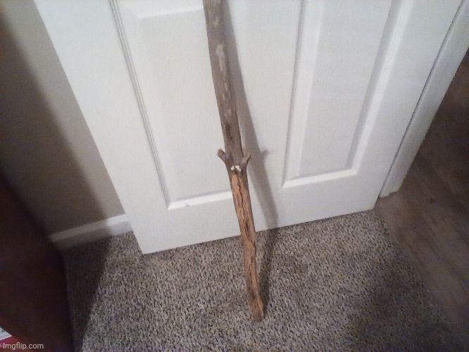 I found this cool ass stick | made w/ Imgflip meme maker