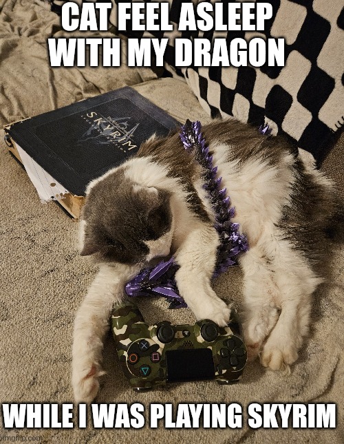 SHE LIKES MY 3D PRINTED ZELDA DRAGON | CAT FEEL ASLEEP WITH MY DRAGON; WHILE I WAS PLAYING SKYRIM | image tagged in cat,skyrim,dragon,ps4,the legend of zelda breath of the wild,video games | made w/ Imgflip meme maker