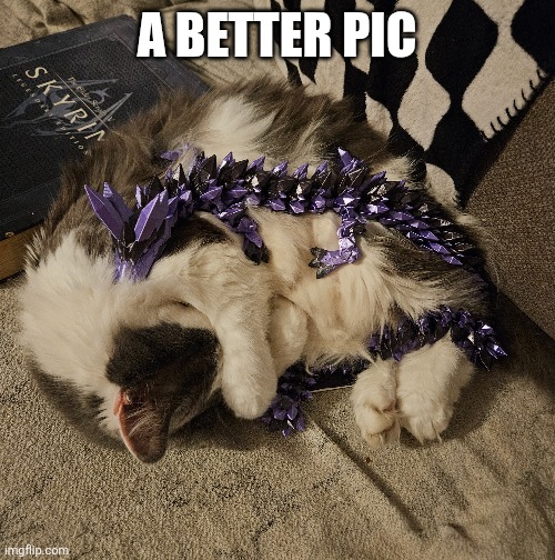 A BETTER PIC | made w/ Imgflip meme maker