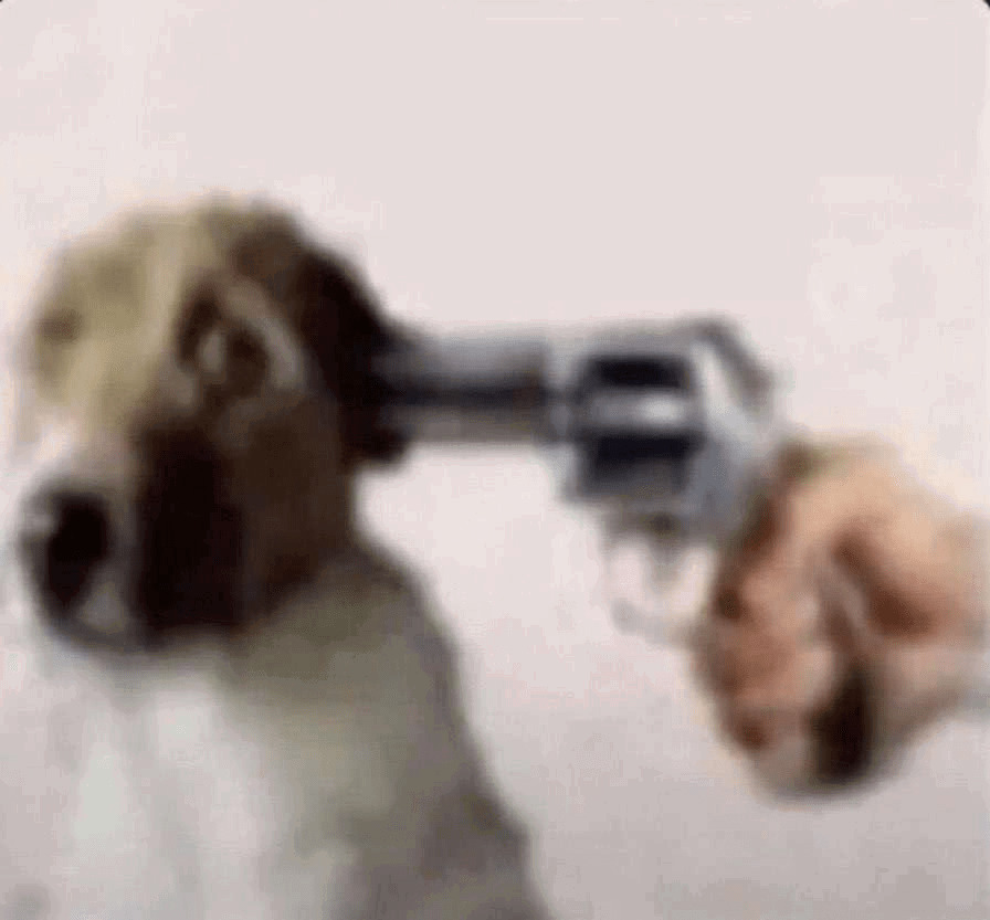 Sad Dog Blank Meme Template