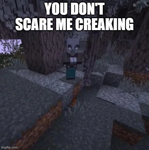 Vindicator Running Away From Creaking | YOU DON'T SCARE ME CREAKING | image tagged in vindicator running away from creaking | made w/ Imgflip meme maker