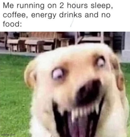 That looks about right | image tagged in relatable memes,relatable,sleepy,energy drinks,dogs,possessed | made w/ Imgflip meme maker