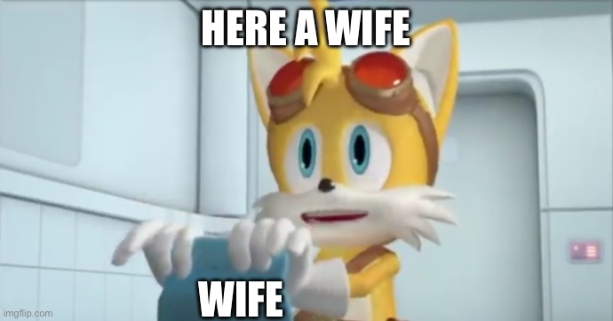 Here, hold this | HERE A WIFE WIFE | image tagged in here hold this | made w/ Imgflip meme maker
