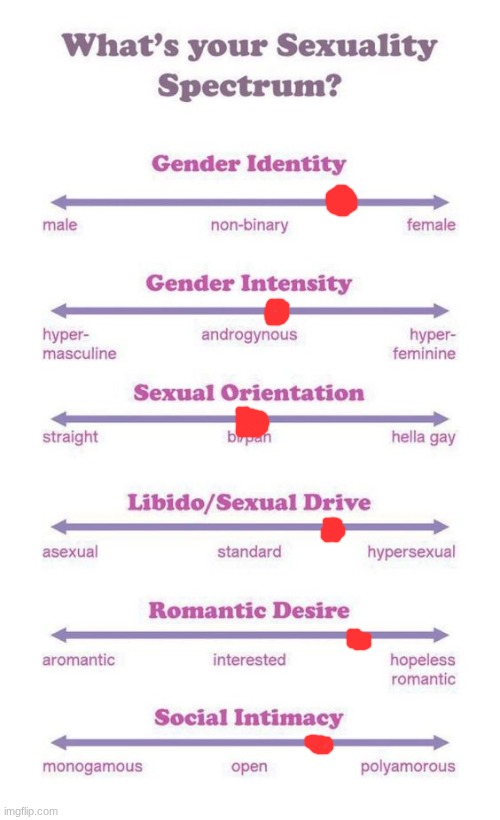 bored | image tagged in what's your sexuality spectrum,lgbt,lgbtq | made w/ Imgflip meme maker