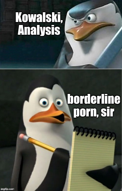I get the strange feeling that someone will post porn in a minute... | Kowalski, Analysis; borderline porn, sir | image tagged in kowalski analysis | made w/ Imgflip meme maker