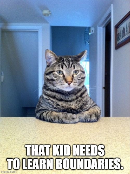 Take A Seat Cat Meme | THAT KID NEEDS TO LEARN BOUNDARIES. | image tagged in memes,take a seat cat | made w/ Imgflip meme maker