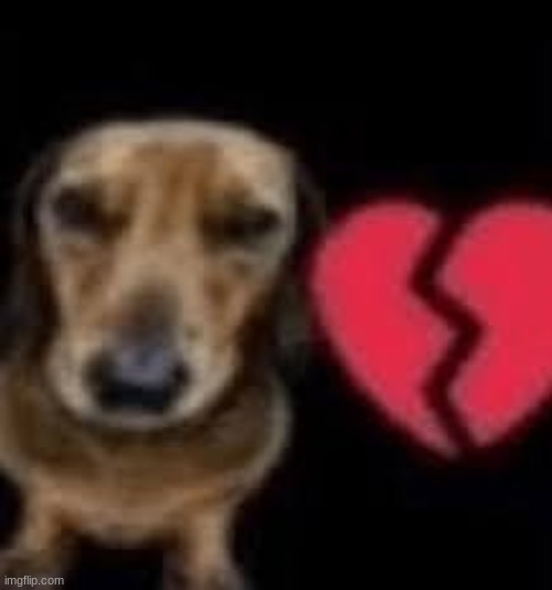 i'm hitting the next newgen to join the stream with an ip grabber | made w/ Imgflip meme maker