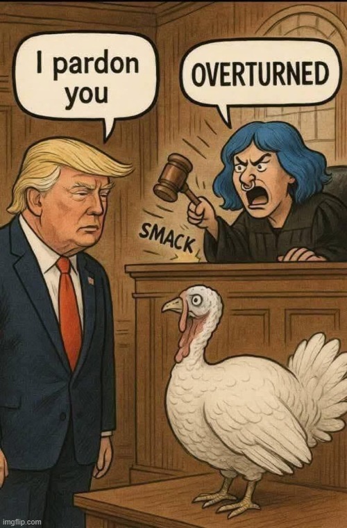 Liberal Leftist Judges | image tagged in donald trump,pardon,leftist,judge,turkey,political humor | made w/ Imgflip meme maker