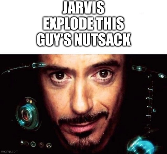 Jarvis Template | JARVIS EXPLODE THIS GUY’S NUTSACK | image tagged in jarvis template | made w/ Imgflip meme maker