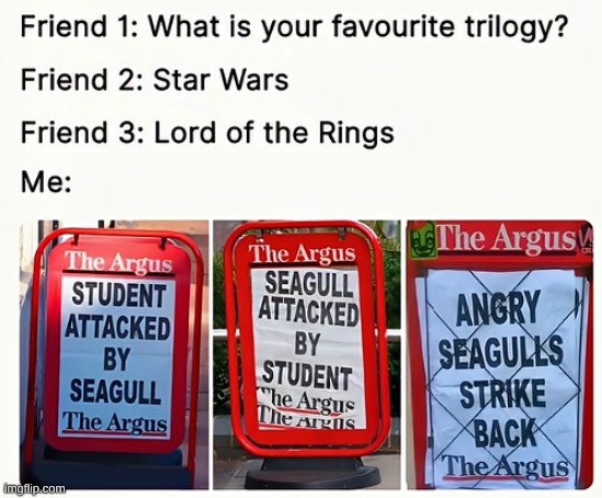 Who will win? | image tagged in memes,student attacked by seagull,seagull attacked by student,the seagull strikes back,absolute cinema | made w/ Imgflip meme maker
