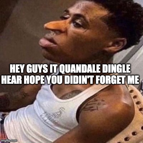 did you forget already | HEY GUYS IT QUANDALE DINGLE HEAR HOPE YOU DIDIN'T FORGET ME | image tagged in quandale dingle | made w/ Imgflip meme maker