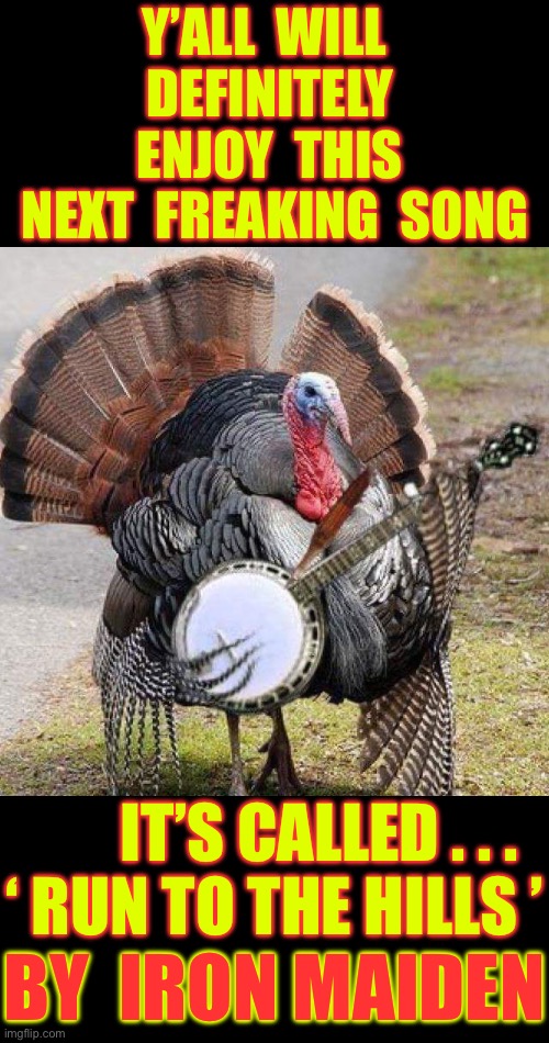 RUN TO THE HILLS !!!  \m/ | Y’ALL  WILL  
DEFINITELY 
ENJOY  THIS 
NEXT  FREAKING  SONG; IT’S CALLED . . .
‘ RUN TO THE HILLS ’; BY  IRON MAIDEN | image tagged in banjo turkey | made w/ Imgflip meme maker