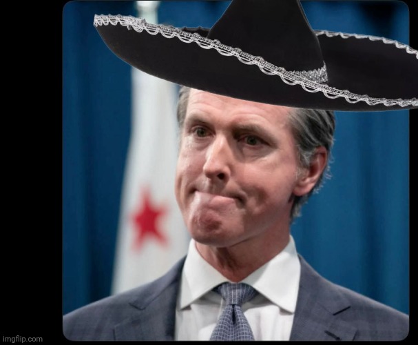 Gavin Newsom Sombrero Blank Meme Template