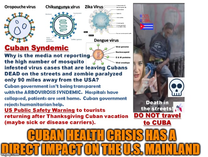 Cuban health crisis has a direct impact on the U.S. mainland (tourism + immigration) | CUBAN HEALTH CRISIS HAS A DIRECT IMPACT ON THE U.S. MAINLAND | image tagged in cuba,dengue,zika virus,chikungunya,oropouche,usa | made w/ Imgflip meme maker