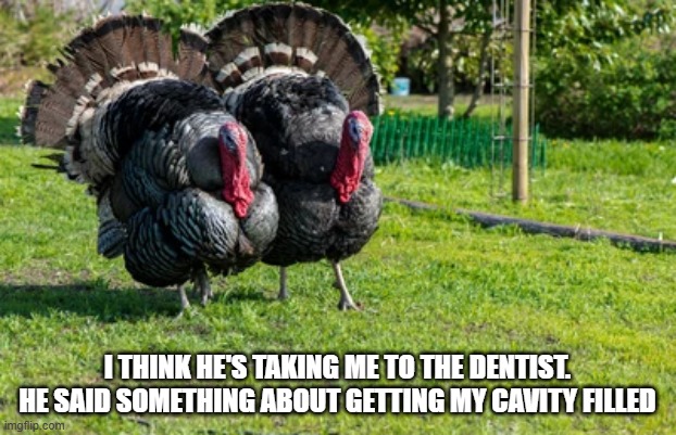 Turkey thinks he's going to the dentist because he's going to get his cavity filled. | I THINK HE'S TAKING ME TO THE DENTIST. HE SAID SOMETHING ABOUT GETTING MY CAVITY FILLED | image tagged in funny,humor,thanksgiving,turkey,dentist | made w/ Imgflip meme maker