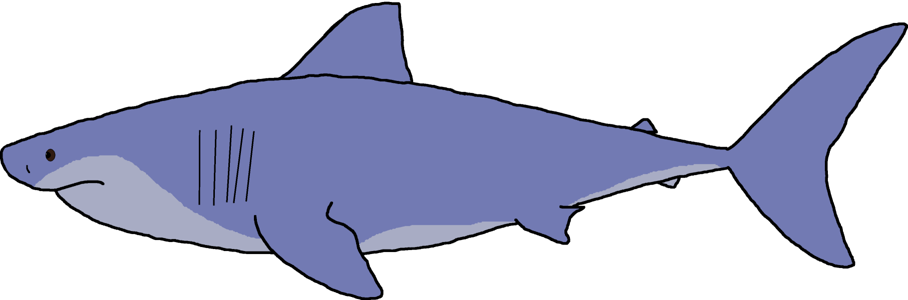 Female Megalodon (Paleoverse + EOIverse) Blank Meme Template